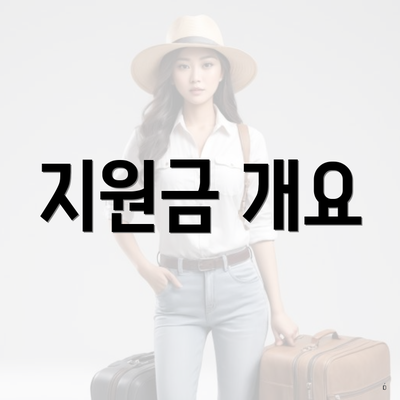 지원금 개요