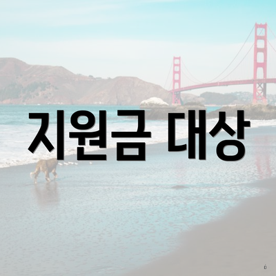 지원금 대상