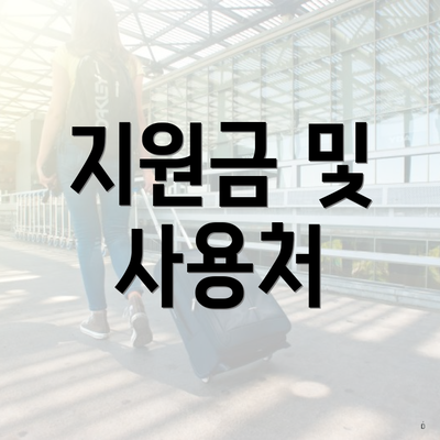 지원금 및 사용처