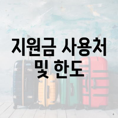 지원금 사용처 및 한도