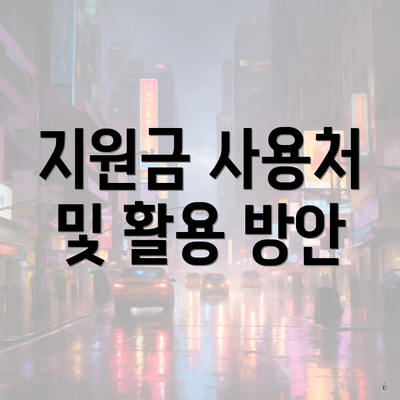 지원금 사용처 및 활용 방안
