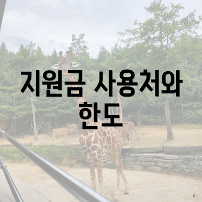 지원금 사용처와 한도