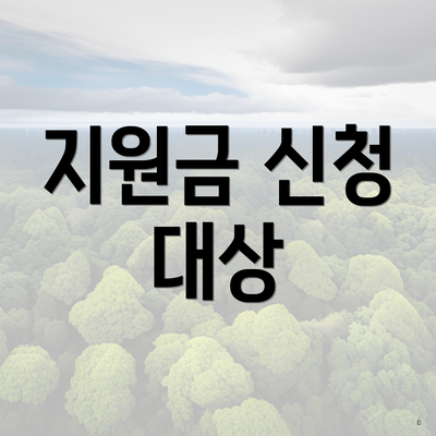 지원금 신청 대상