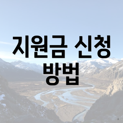 지원금 신청 방법