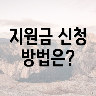 지원금 신청 방법은?