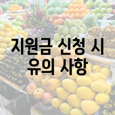 지원금 신청 시 유의 사항