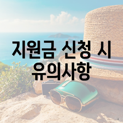지원금 신청 시 유의사항