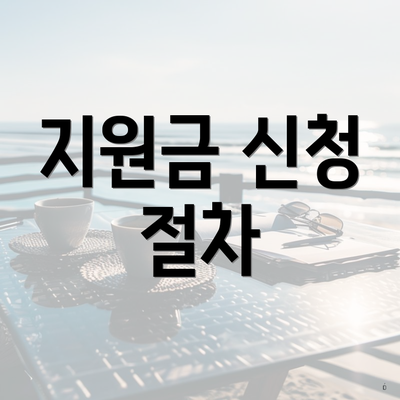 지원금 신청 절차