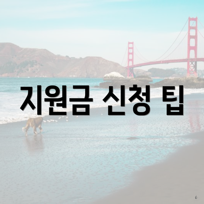 지원금 신청 팁
