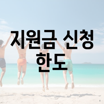 지원금 신청 한도