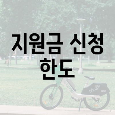 지원금 신청 한도