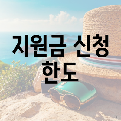 지원금 신청 한도
