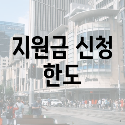 지원금 신청 한도