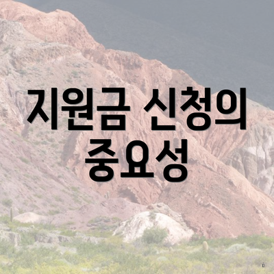 지원금 신청의 중요성