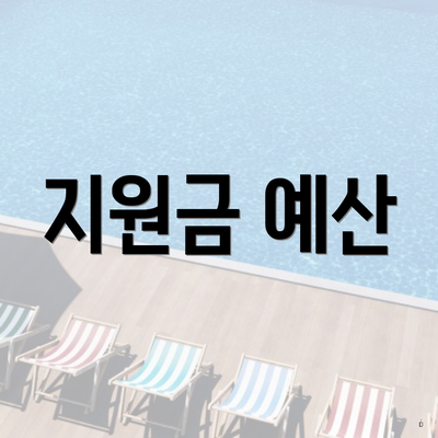 지원금 예산