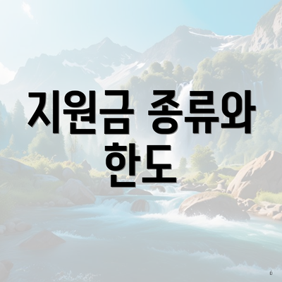 지원금 종류와 한도