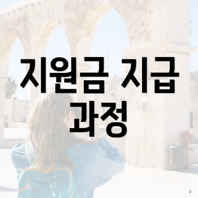 지원금 지급 과정