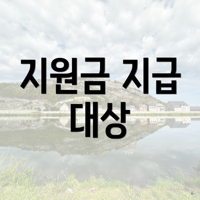 지원금 지급 대상