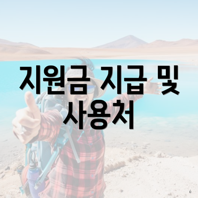 지원금 지급 및 사용처