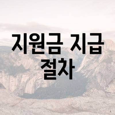 지원금 지급 절차
