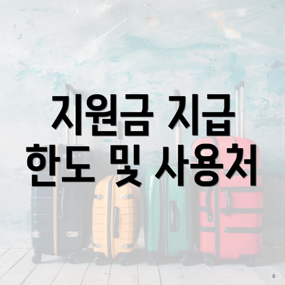 지원금 지급 한도 및 사용처
