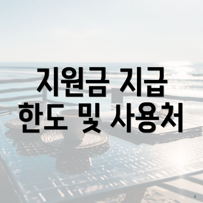 지원금 지급 한도 및 사용처