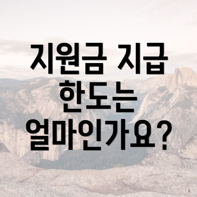 지원금 지급 한도는 얼마인가요?