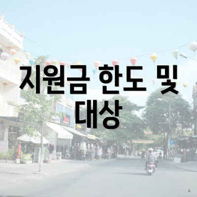지원금 한도 및 대상