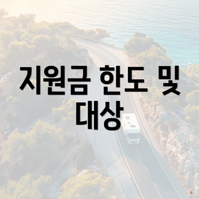 지원금 한도 및 대상
