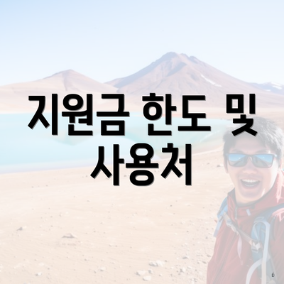 지원금 한도 및 사용처