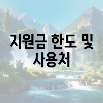 지원금 한도 및 사용처