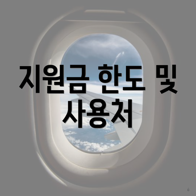 지원금 한도 및 사용처