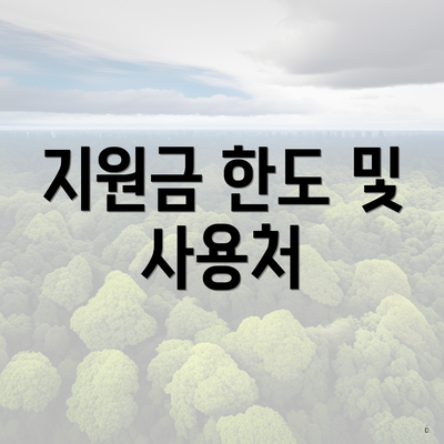 지원금 한도 및 사용처