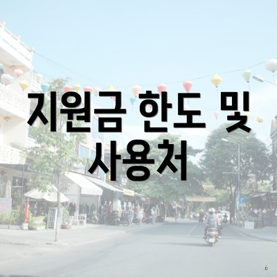 지원금 한도 및 사용처