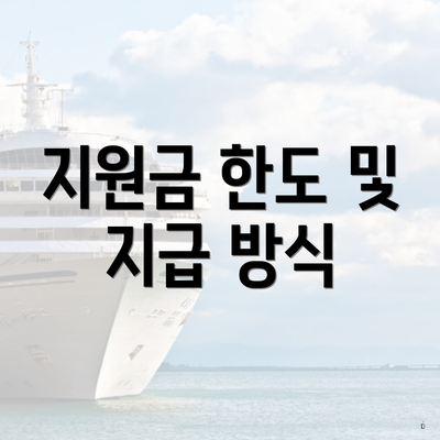 지원금 한도 및 지급 방식