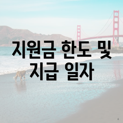 지원금 한도 및 지급 일자
