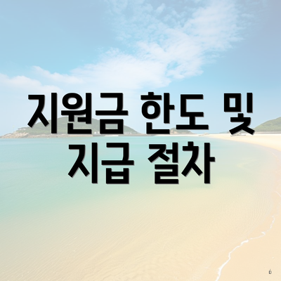 지원금 한도 및 지급 절차