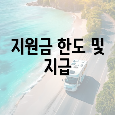지원금 한도 및 지급