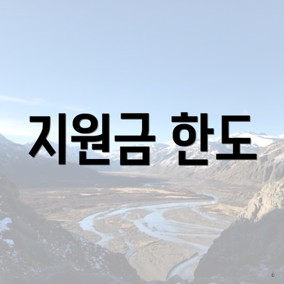 지원금 한도