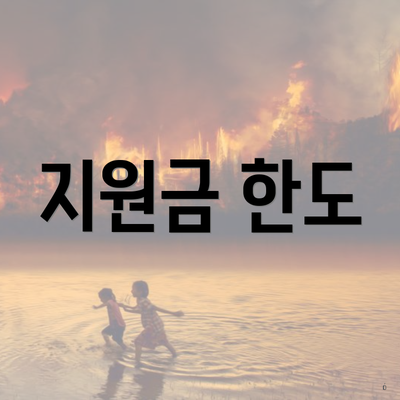 지원금 한도