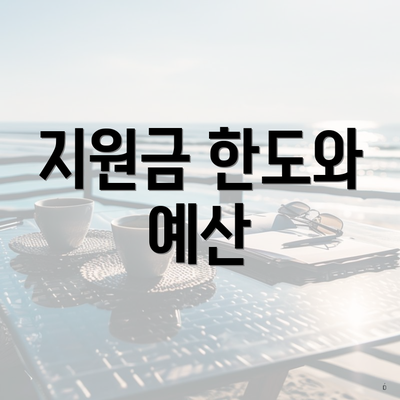 지원금 한도와 예산