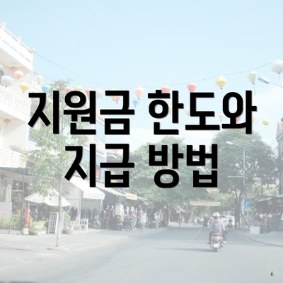 지원금 한도와 지급 방법
