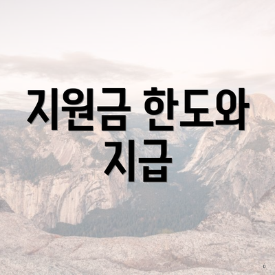 지원금 한도와 지급