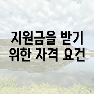 지원금을 받기 위한 자격 요건
