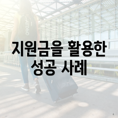 지원금을 활용한 성공 사례
