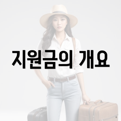 지원금의 개요