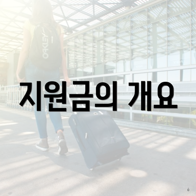 지원금의 개요