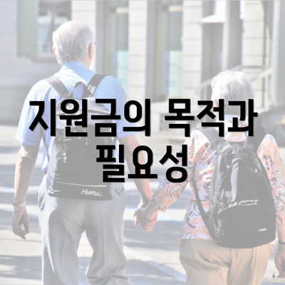지원금의 목적과 필요성