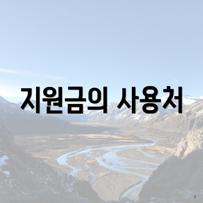 지원금의 사용처