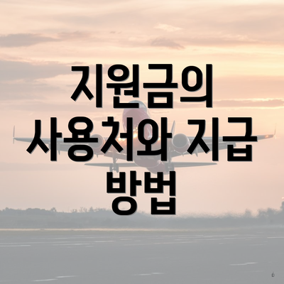 지원금의 사용처와 지급 방법